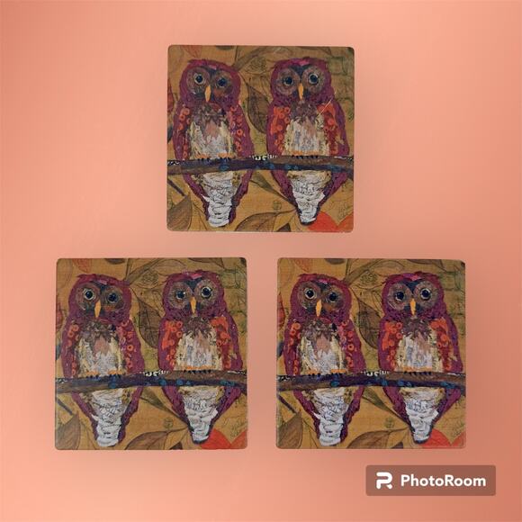 Thirstystone Set of 3 Hoo Hoo Owl Bird Coasters by Elizabeth St. Hilaire Nelson - Picture 1 of 7